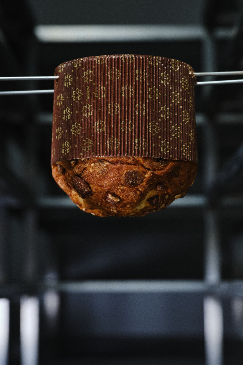Panettone beim Abkühlen auf Panettone Spießen
