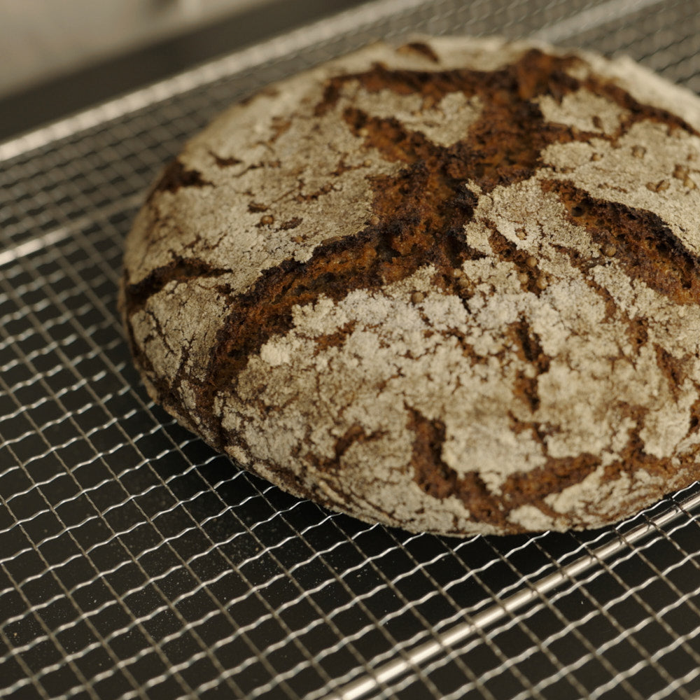 Backergebnis aus dem Brotbackkurs