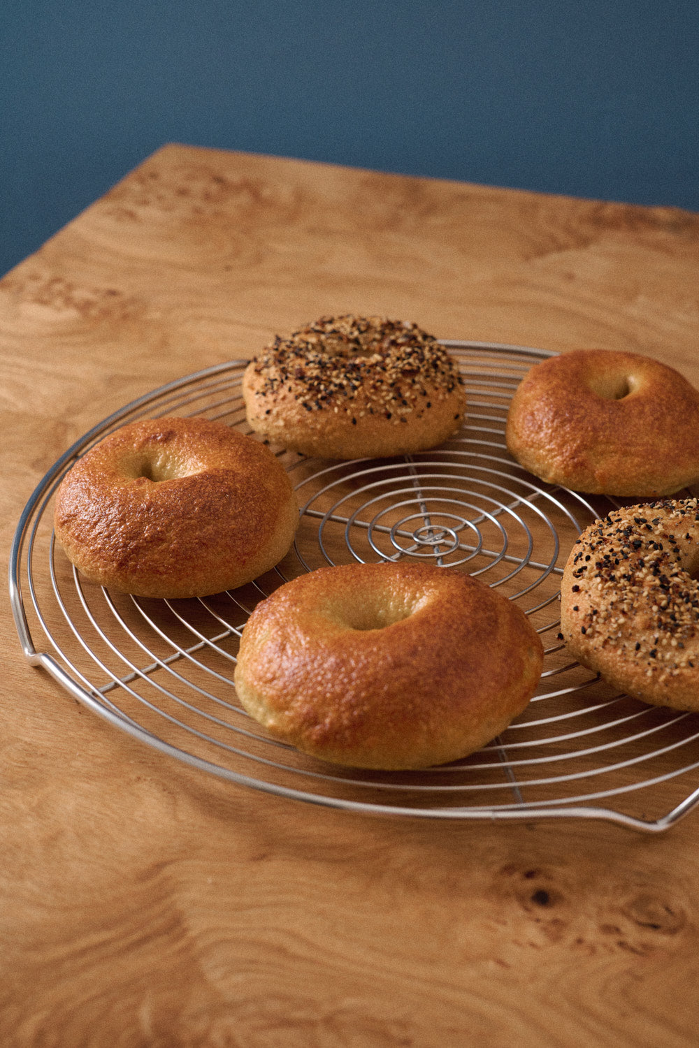 Edelstahl Abkühlgitter rund mit Bagel