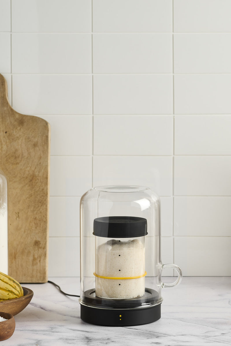 Sourhouse Goldie Anstellgut Automat